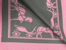 Horse and Carriage Scarf/Shawl