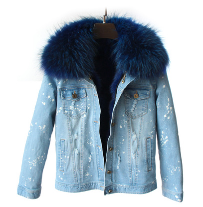 Distressed Denim Jacket with Royal Blue Fur Lining and Collar